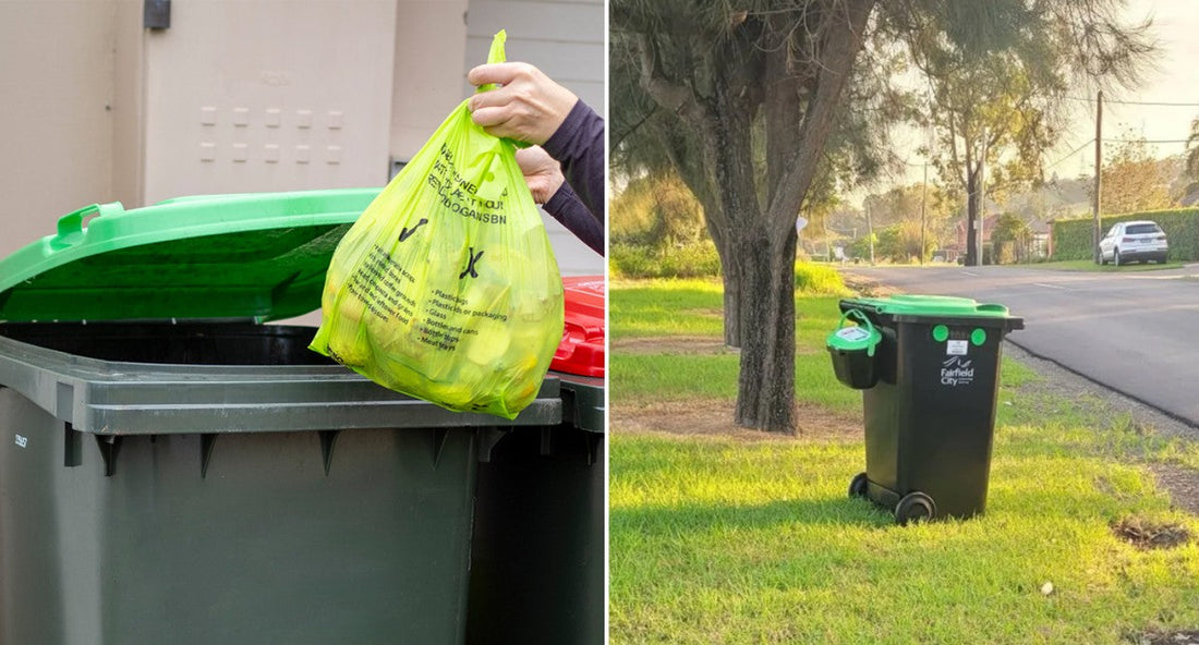 What Are FOGO Bins? A Guide to Food and Garden Organics Recycling