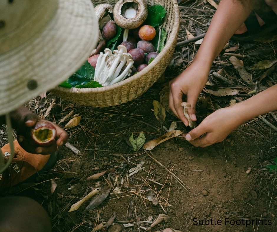 Slow, Eco-Friendly, and Conscious Activities to Enjoy with Kids