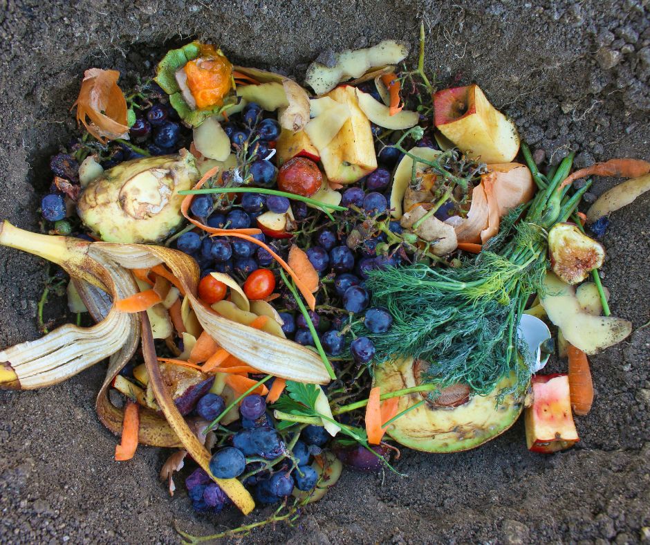Australia’s Food Waste Crisis: How to Reduce Waste and Help the Planet